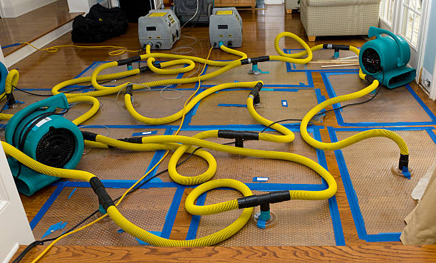 Professional Storm Water Damage Restoration technician working in Haymarket, VA